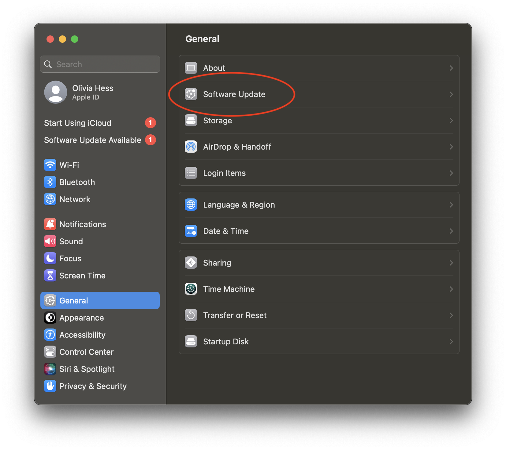 Click on General and then Software Update