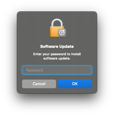 Enter your local user account password. 