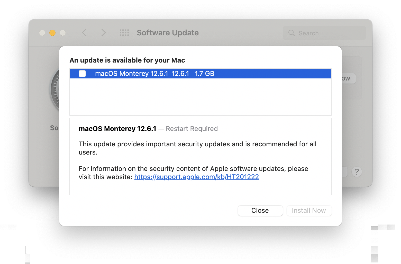 Choosing the update that is available for your Mac.