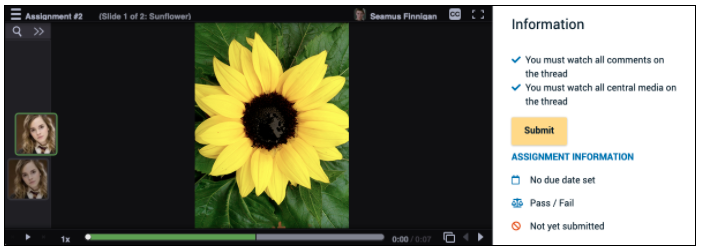 Screenshot of the submission screen for an example VoiceThread Watch Assignment