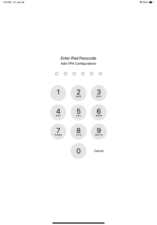Enter your iPad passcode.