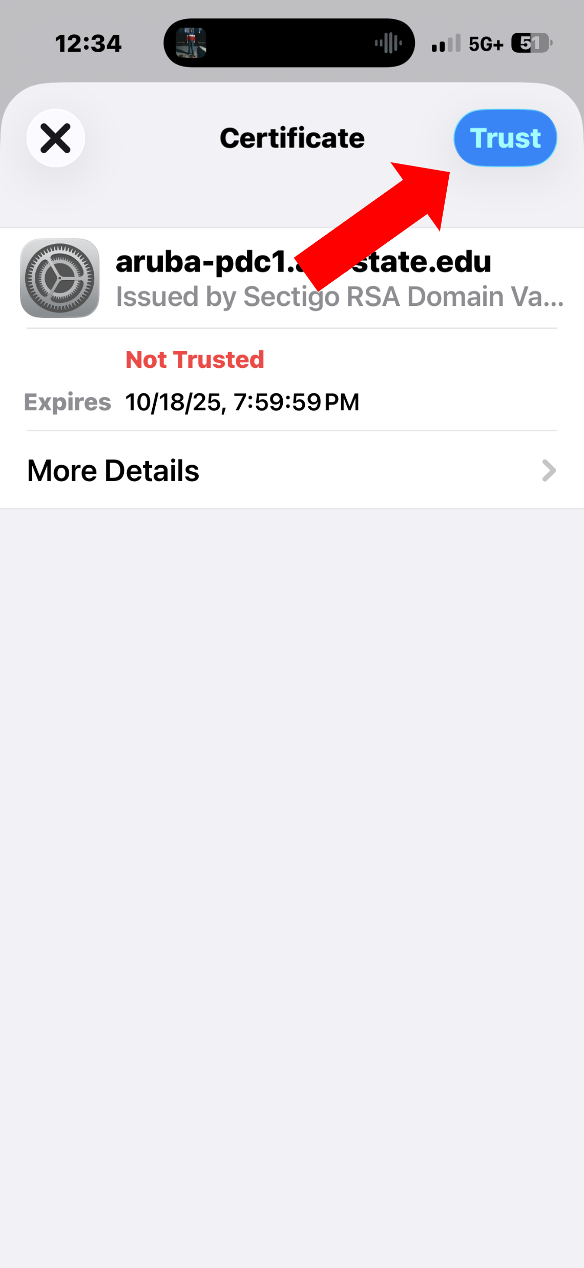 Tap trust on the certificate. 
