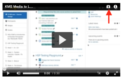 Appalachian Technology Knowledge Base > Kaltura: Download your media > download.png screenshot of download icon on player