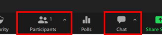 Participants and Chat panel buttons