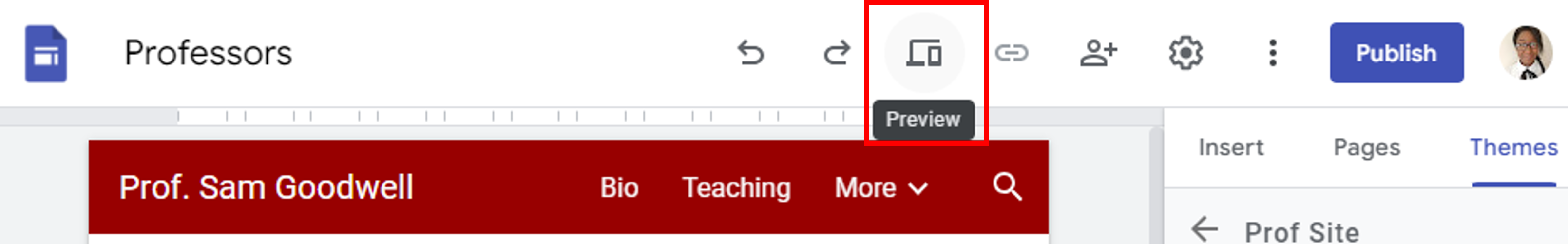 Previewing your Site.