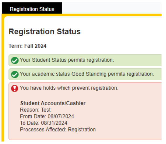 Registration status with issues found. 