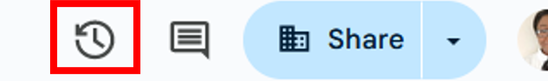 Clicking on the revision history icon.