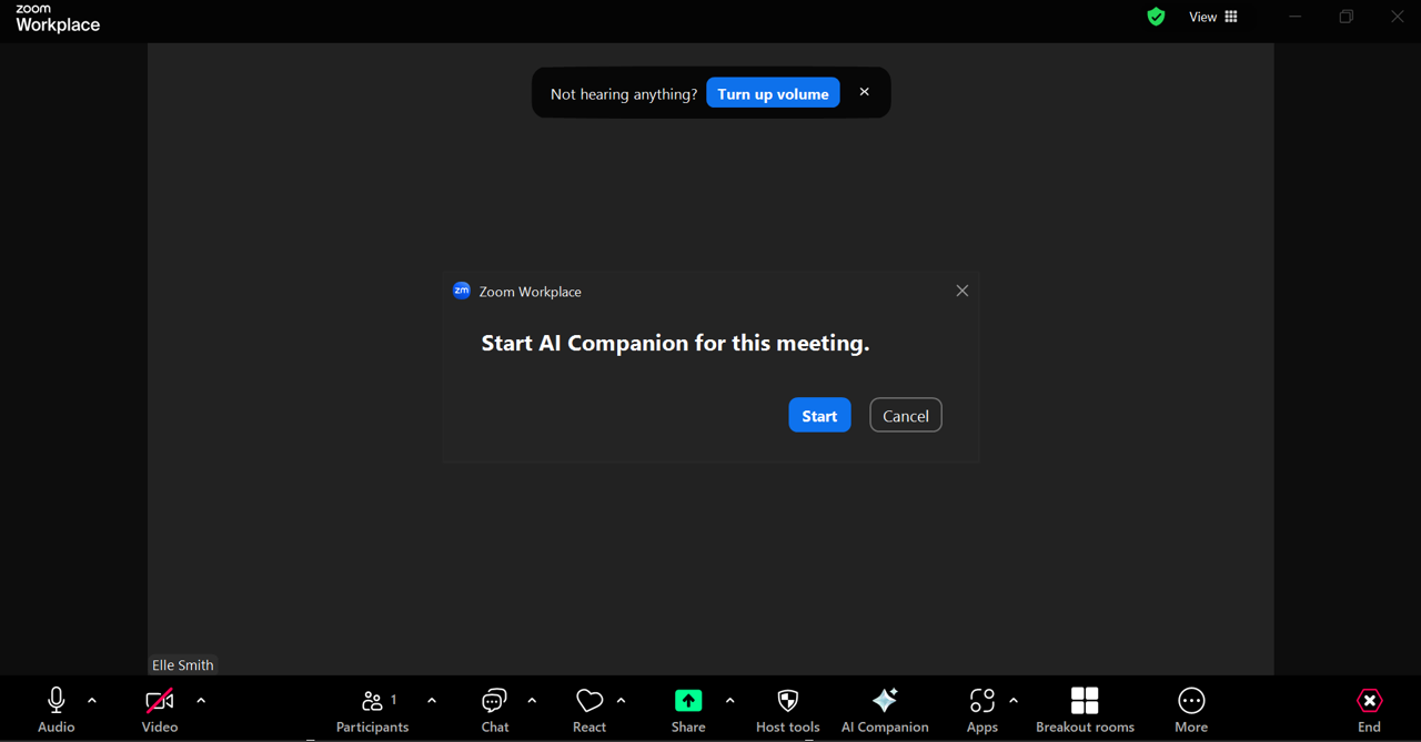Click Start to begin AI Companion.