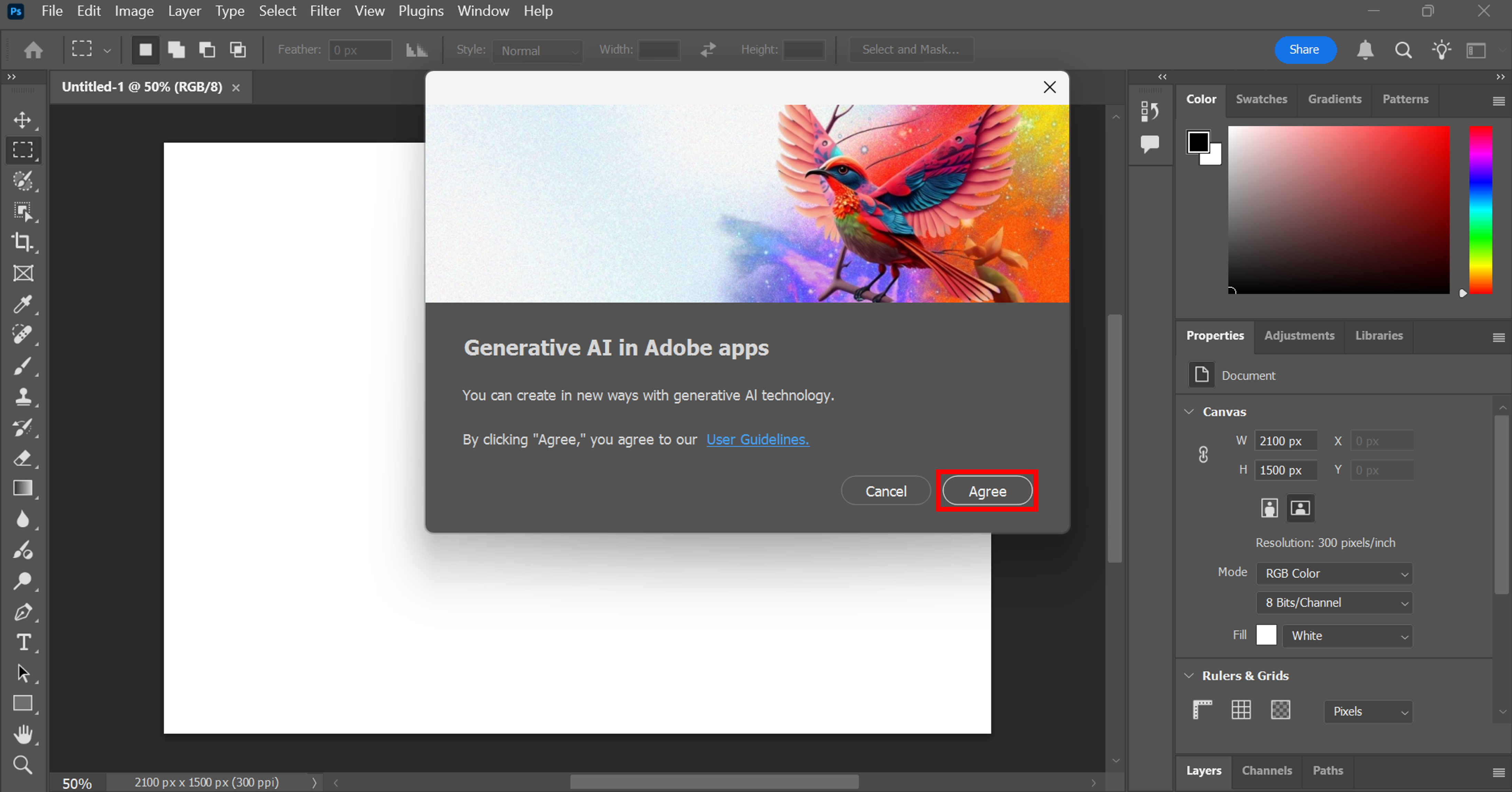 Agree to the Adobe user guidelines. 