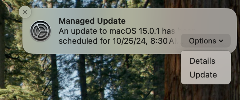 Managed Update notification options.
