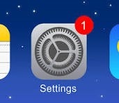 iPhone settings icon.