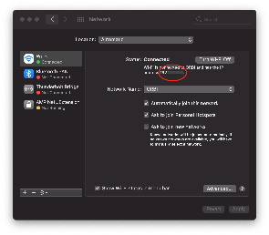 Note the IP address.
