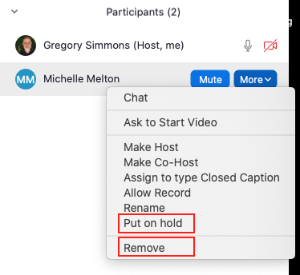 put on hold or remove participant from meeting options